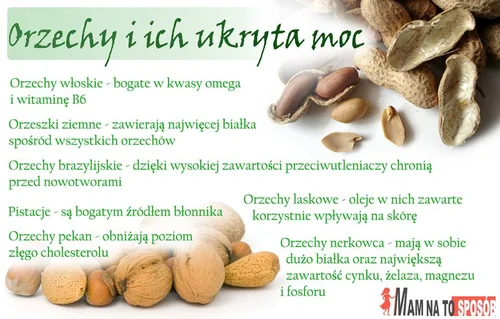 Jakie właściwości kryją się w orzechach?