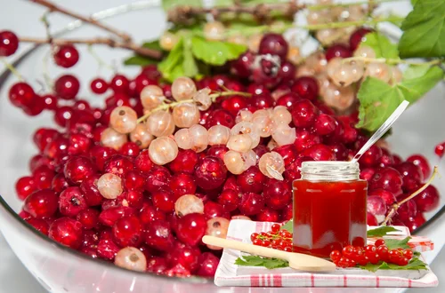 Porzeczki w słoiku – 5 genialnych przepisów na domowe przetwory!