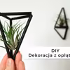 DIY Dekoracja z oplątwami • origamifrog.pl