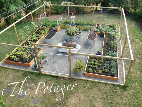 Ogród warzywny, który zrobisz sama... lub z pomocą partnera ;)