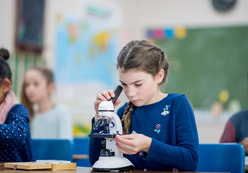 Fizyka, biologia i geografia razem? Nowy przedmiot „przyroda” już od 2026!