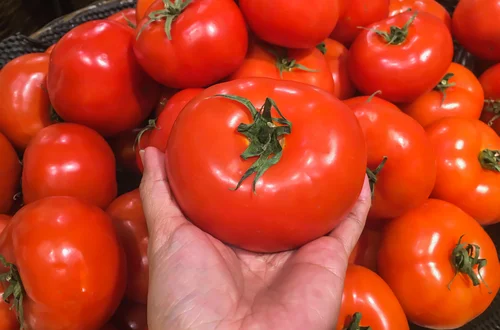 Co szypułka mówi o pomidorze? TEN szczegół ma wielkie znaczenie!
