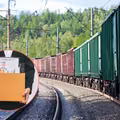 Największe zwolnienia od lat w PKP Cargo. Pracę straci 800 pracowników!
