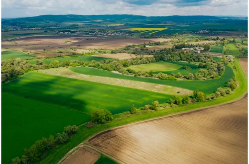 Polska w TOP 10 cen gruntów w UE! Zobacz, gdzie ziemia jest najdroższa!