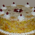 Tort Egipski