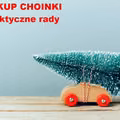 Chcesz kupić ŻYWĄ CHOINKĘ? Wybierz mądrze.