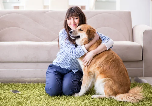 Nawet 700 zł dla osób adoptujących psa lub kota! Nowy program wsparcia