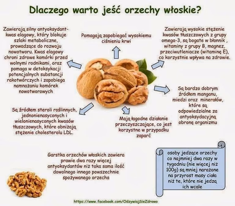 Orzechy włoskie