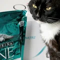 Purina One - czy to karma dla Twojego kota?