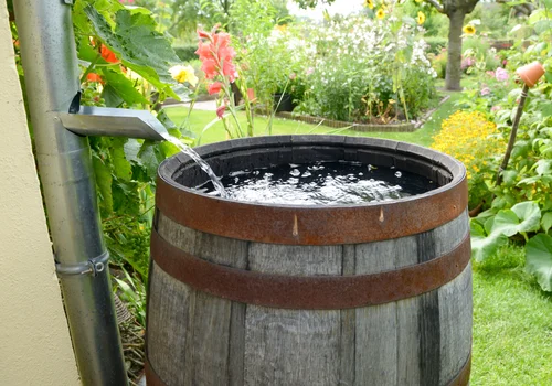 Dotacje na deszczówkę wracają! Nawet 4000 zł dla właścicieli domów w 2026 roku