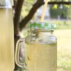 Lemoniada Virgin Mojito