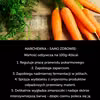 Marchewka - samo zdrowie!