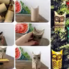 A może sowy?