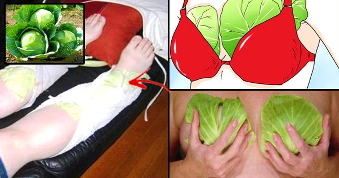 Genialne zastosowania liści kapusty – ból stawów, wrastający paznokieć, gojenie ran