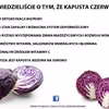 Czerwona kapusta - ciekawostki