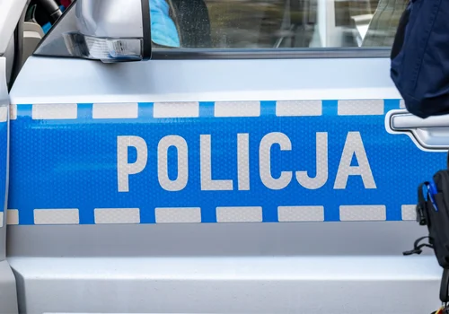 21-latek zatrzymany przez Policję - to on miał skatować i porzucić królika! Historia Marcysia poruszyła tysiące Polaków