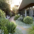 Piękny ogródek