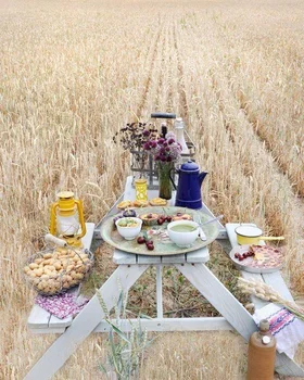 Piknikowe szaleńśtwo