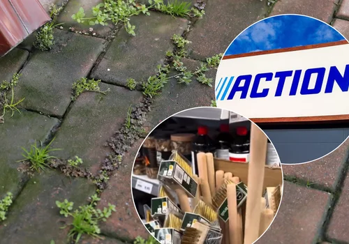 Szczotka "Zbawiciel" z Action za 11 złotych! Wiralowy gadżet do usuwania chwastów robi robotę bez brudzenia rąk