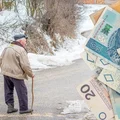 Seniorzy szturmują ZUS po to świadczenie! Pojawił się apel urzędników!