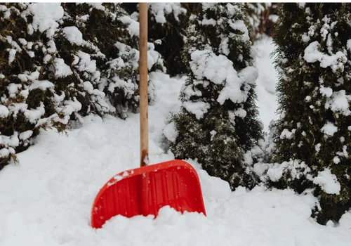 Świętujmy razem Światowy Dzień Śniegu - Jak śnieg wpływa na nasze życie?