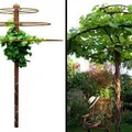 Zielony parasol w ogrodzie