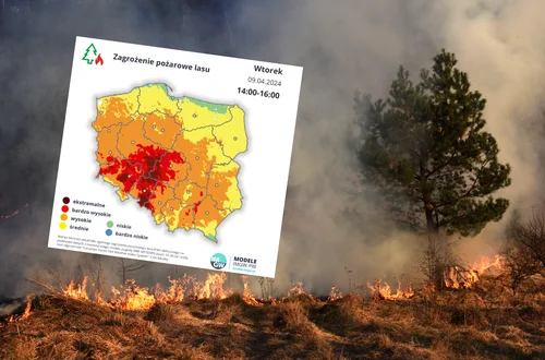 Ekstremalne pożary zagrażają Europie! Polska też w niebezpieczeństwie!?
