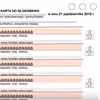 Jak głosować w wyborach samorządowych? Instrukcja krok po kroku