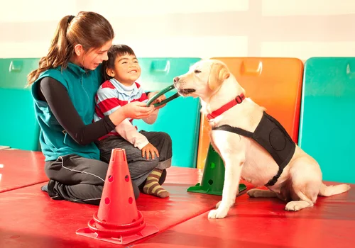 Ogólnopolski Dzień Dogoterapii: Rola Psów Terapeutycznych w Rehabilitacji