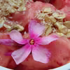 DIETETYCZNY OWOCOWY SORBET