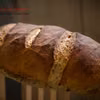 Pain Rustique