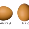 Jak sprawdzić świeżość jajka