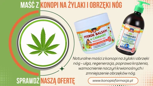 Maści z konopi na żylaki i obrzęki nóg