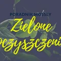 Rośliny oczyszczające powietrze – oficjalny przewodnik (+Infografika!)