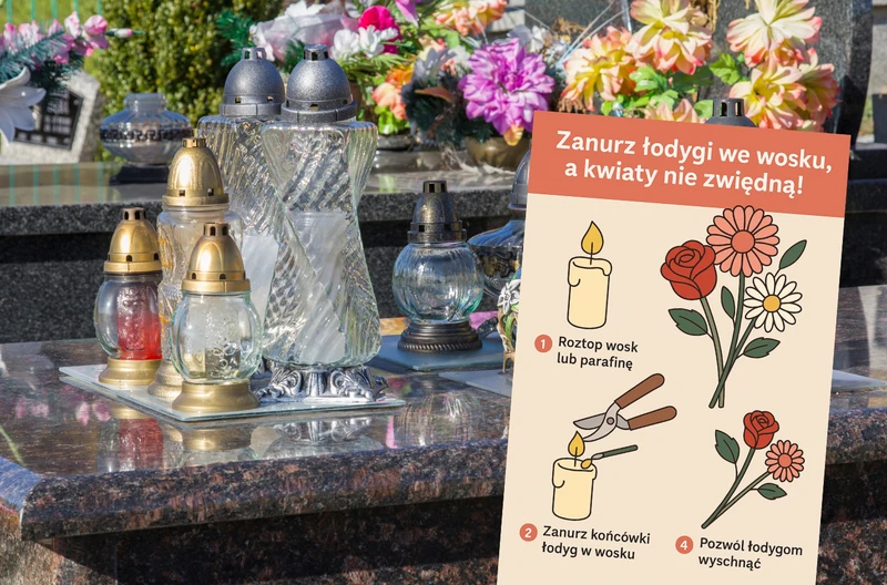 Zanurz łodygi we wosku, a kwiaty nie zwiędną! Stary florystyczny trik, który naprawdę działa!