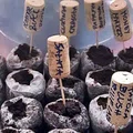 Jak zrobić tabliczki do opisu roślin - Zero waste