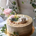 Tort cappuccino z bezą i likierem z kukułek