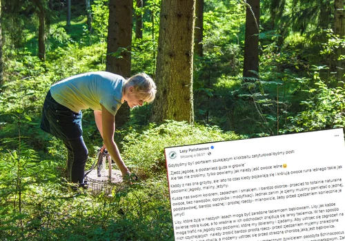 „Zjedz jagodę, a dostaniesz guza w głowie”.  Lasy Państwowe opublikowały komunikat z ostrzeżeniem!