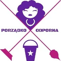 Porządkoodporna