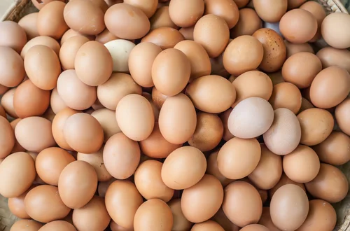 Świętujmy razem Światowy Dzień Jaja - Niezwykłe fakty i korzyści zdrowotne