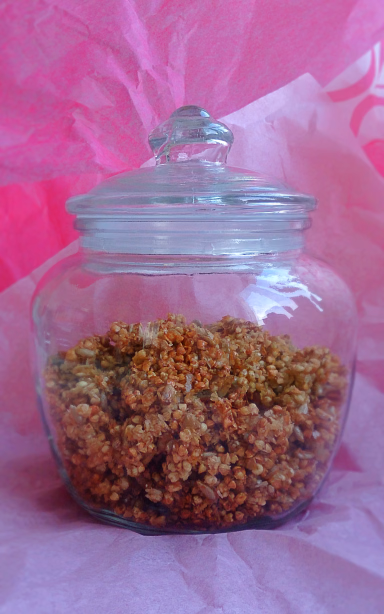 Bezglutenowa granola kokosowa
