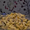Sałatka z pieczarkami