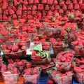Fałszują etykiety i kraj pochodzenia owoców! Oto, jak rozpoznać polskie truskawki!