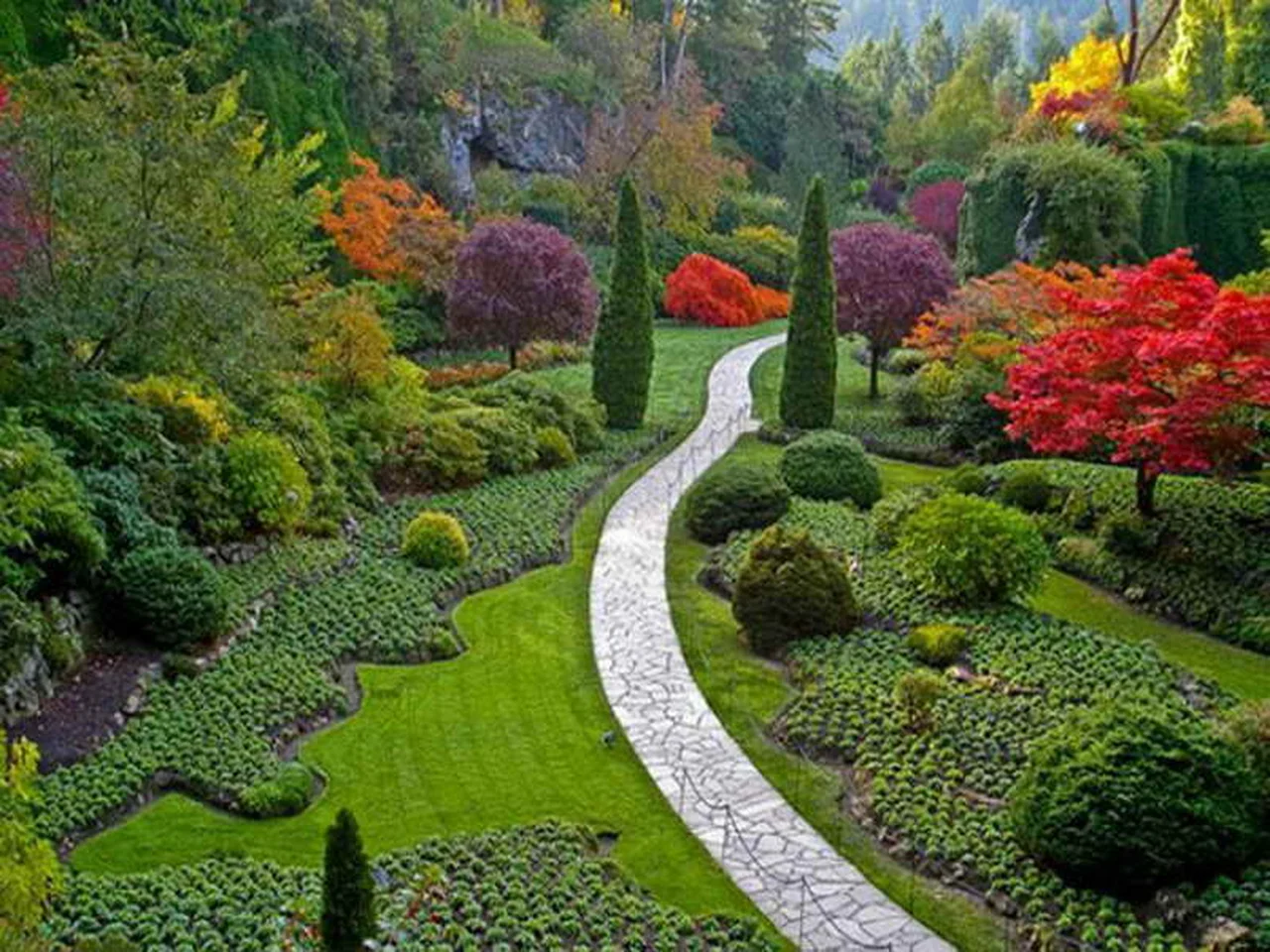 Piękny kolorowy ogród