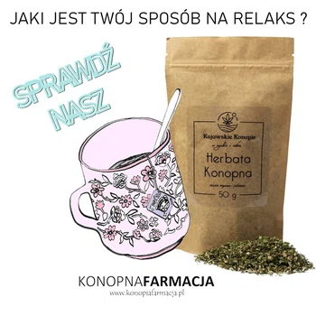 Herbata konopna – sposób na relaks