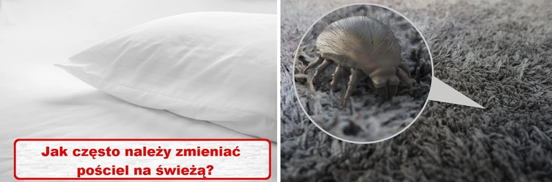 A Ty jak często ZMIENIASZ POŚCIEL?