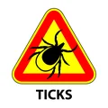 3 sposoby na odstraszenie kleszczy