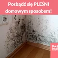 Pozbądź się PLEŚNI domowym sposobem!