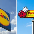Lidl czy Biedronka? Gdzie jest taniej! Paragony prawdy!