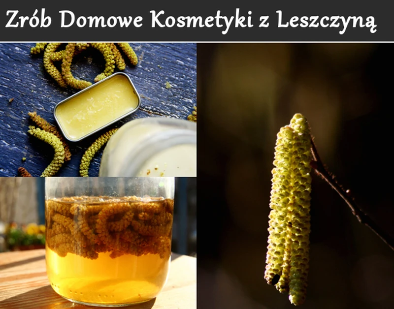 Kosmetyki prosto z lasu czyli pyłek leszczynowy na problemy skórne i opuchnięte oczy